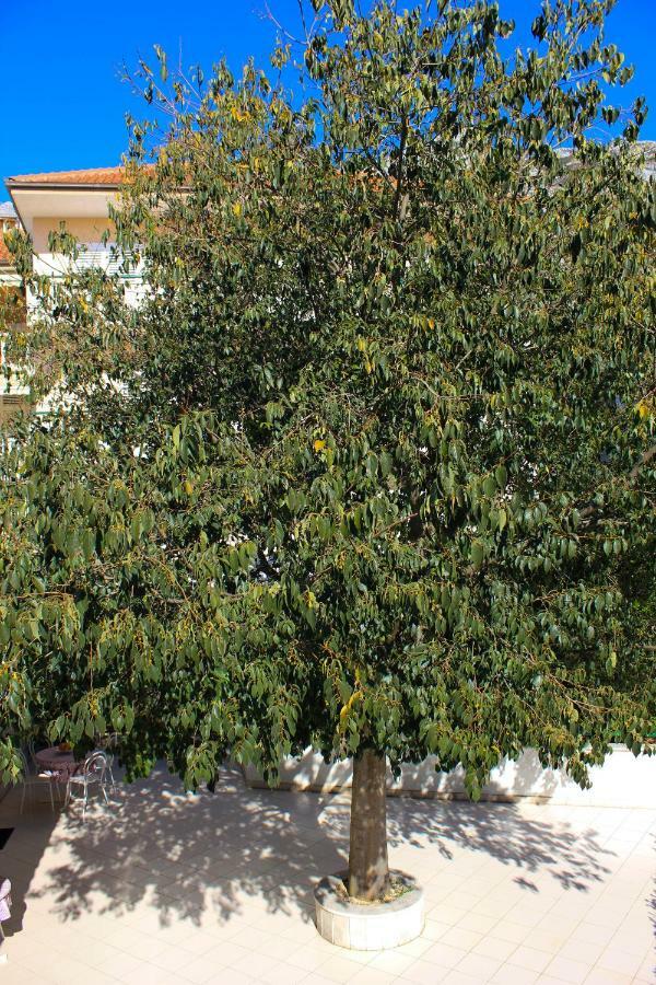 Apartments Pino Makarska Eksteriør bilde